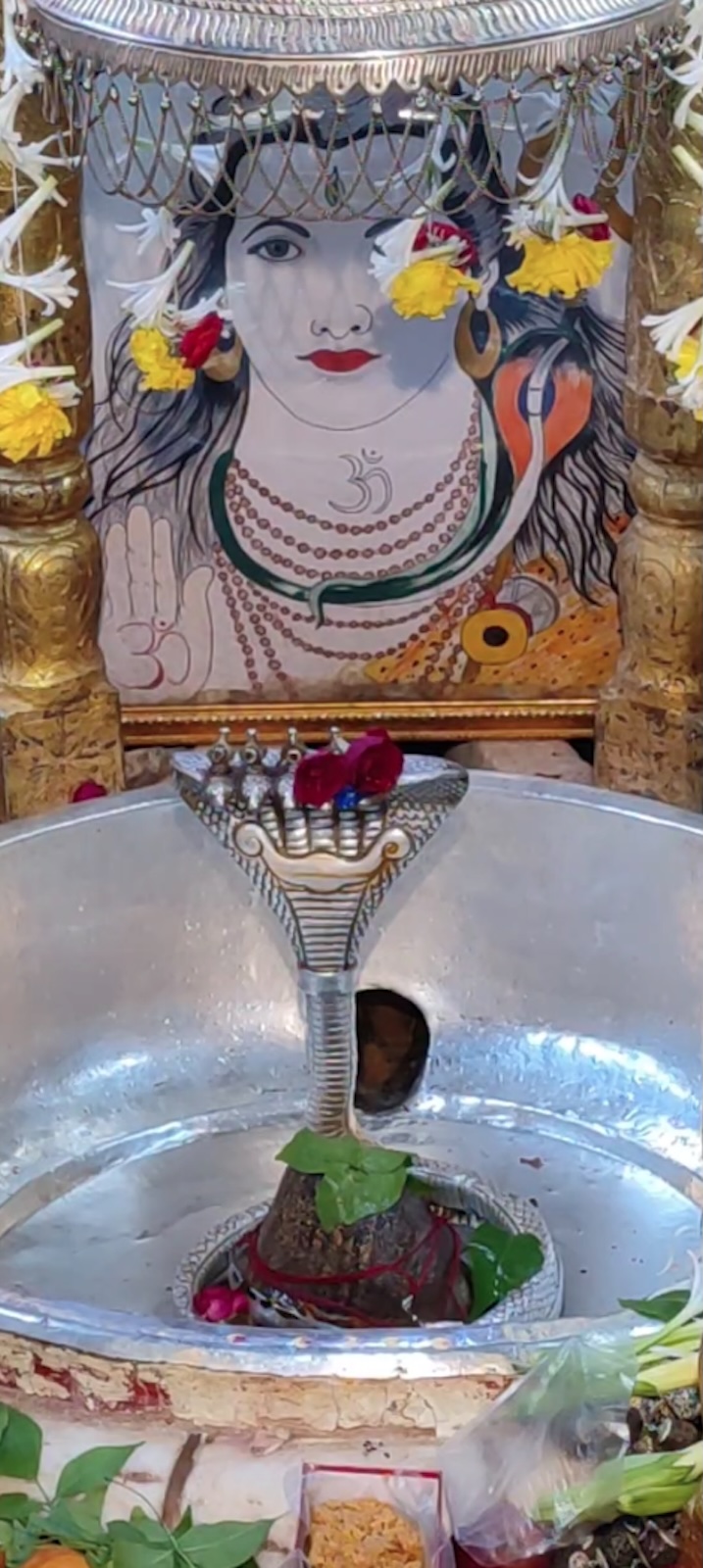 Rudrabhishek to Shree Kubereshwar Mahadev