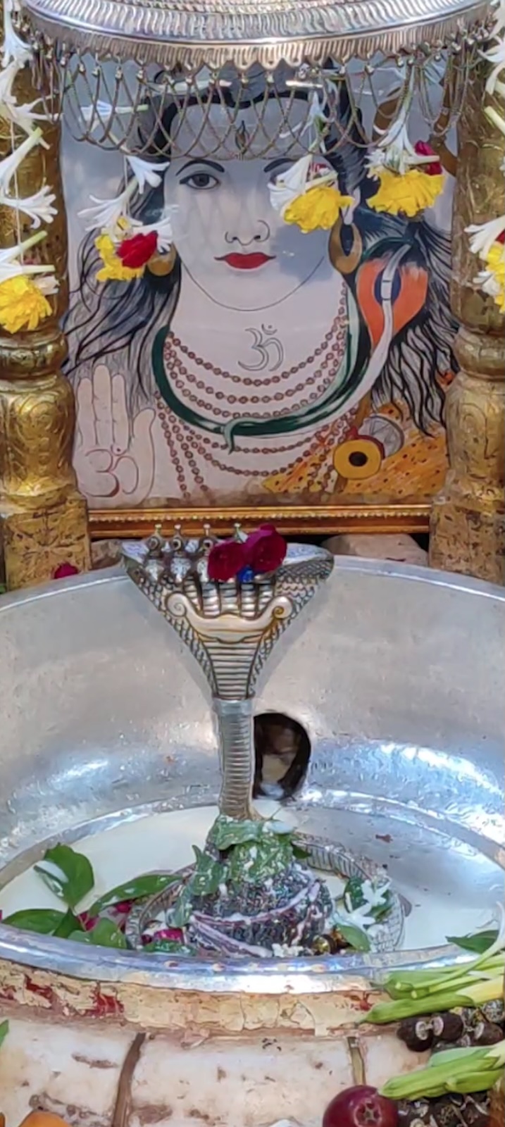Rudrabhishek to Shree Kubereshwar Mahadev