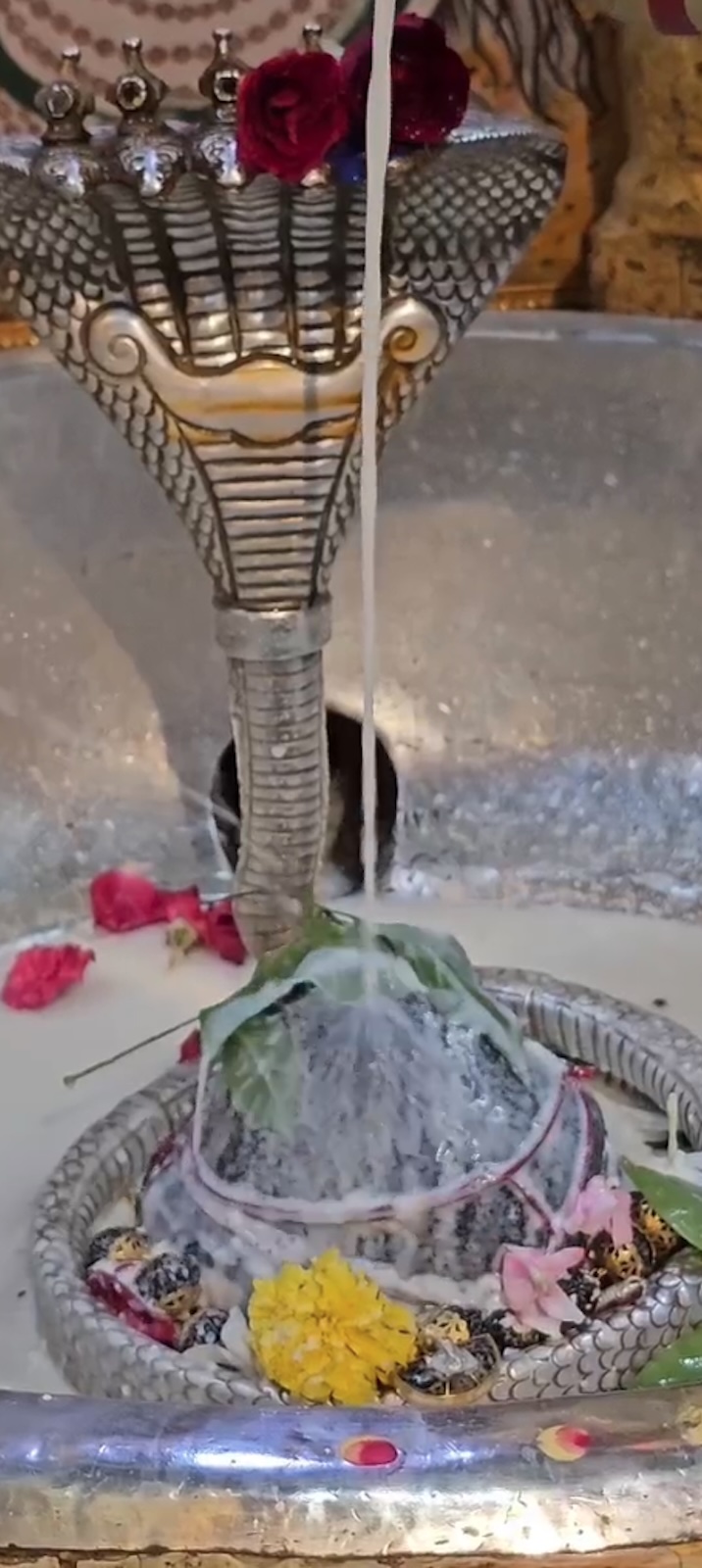 Rudrabhishek to Shree Kubereshwar Mahadev
