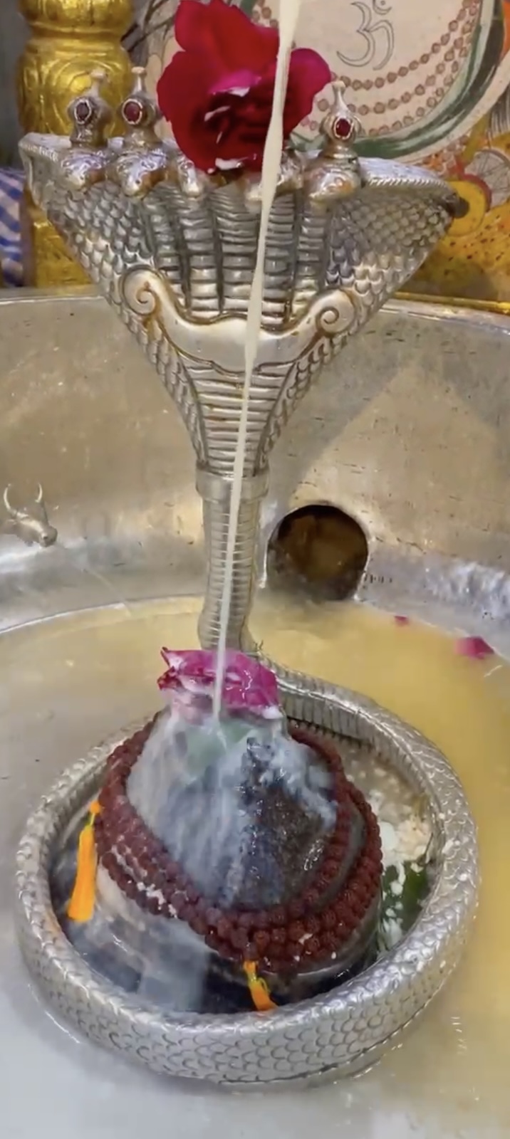 Rudrabhishek to Shree Kubereshwar Mahadev