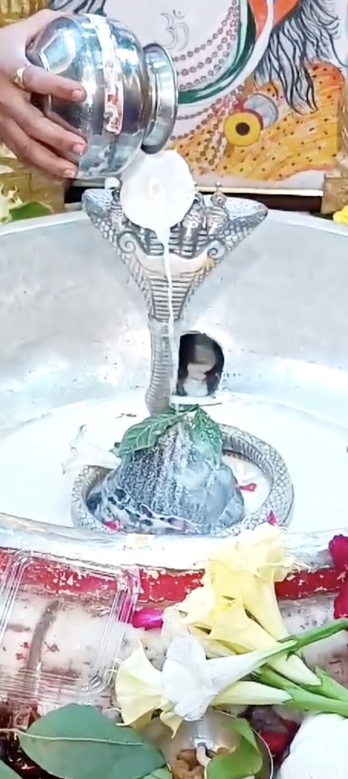 Rudrabhishek to Shree Kubereshwar Mahadev