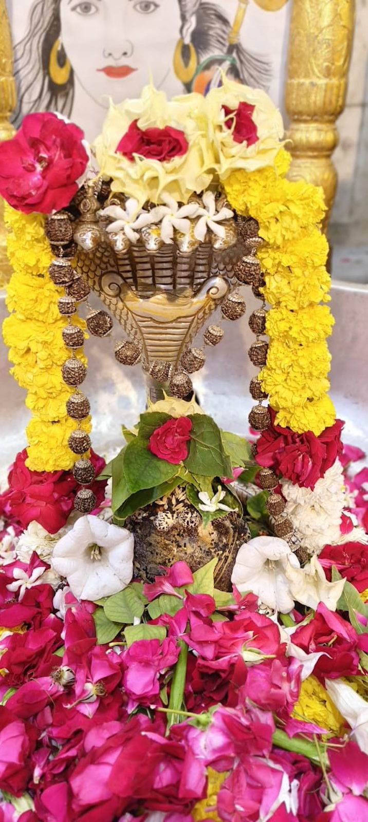 Rudrabhishek to Shree Kubereshwar Mahadev