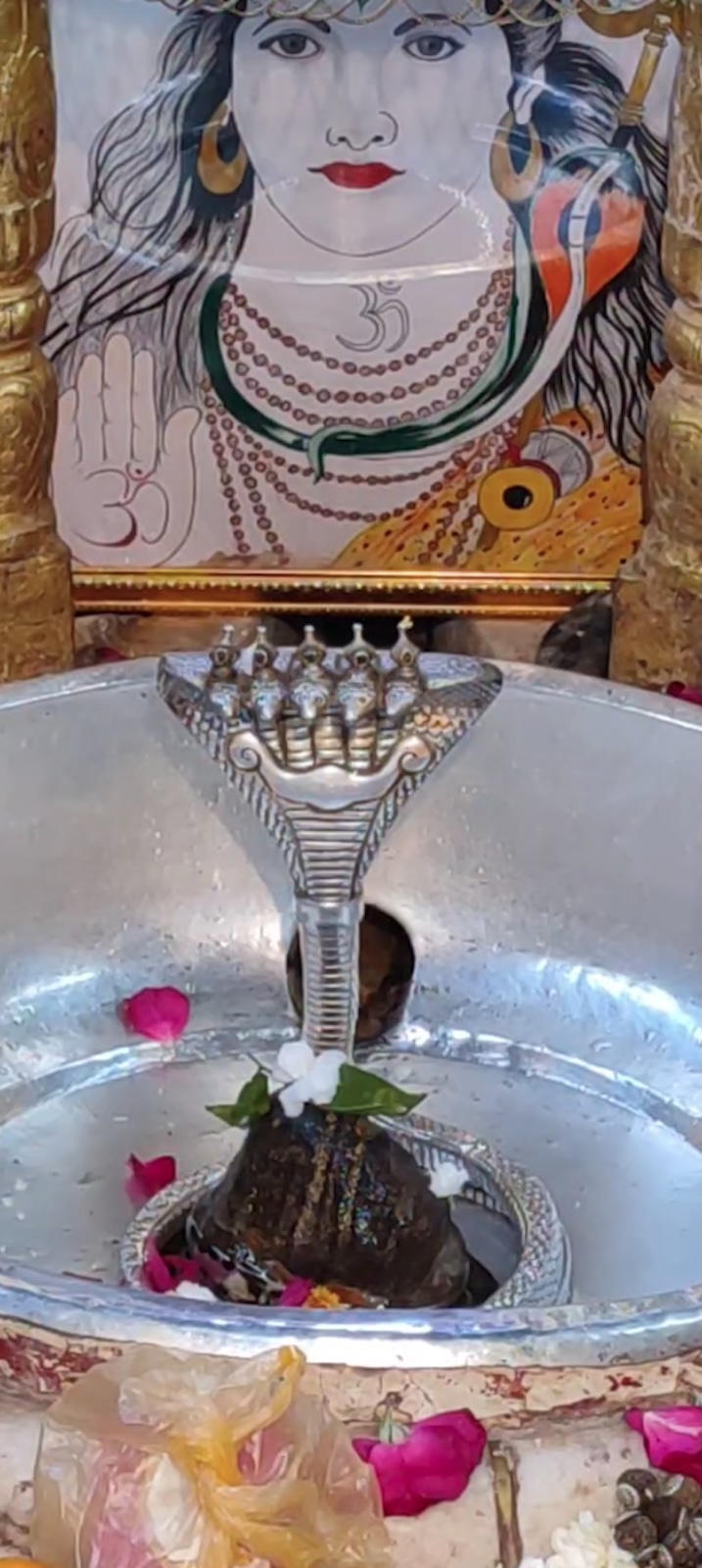 Rudrabhishek to Shree Kubereshwar Mahadev