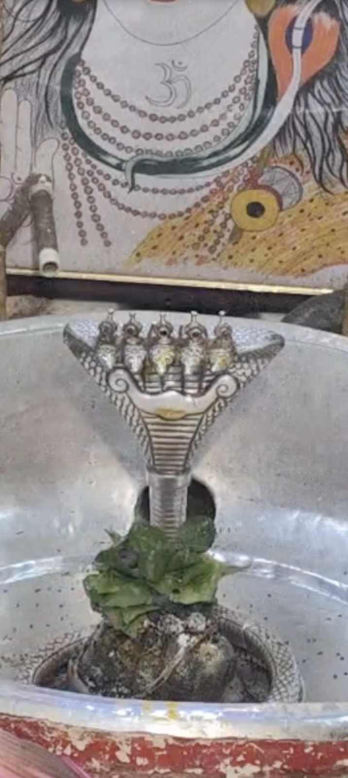 Rudrabhishek to Shree Kubereshwar Mahadev