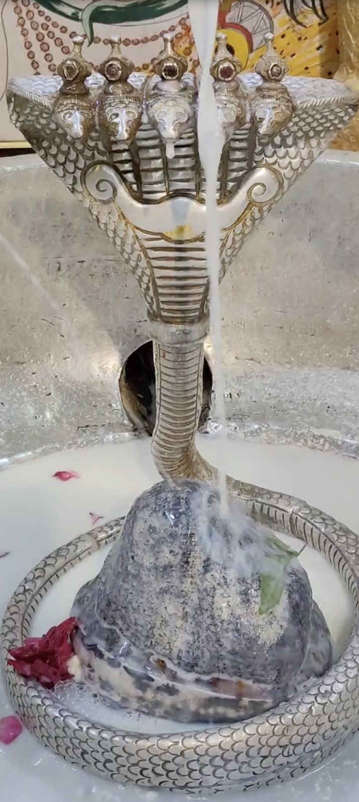 Rudrabhishek to Shree Kubereshwar Mahadev