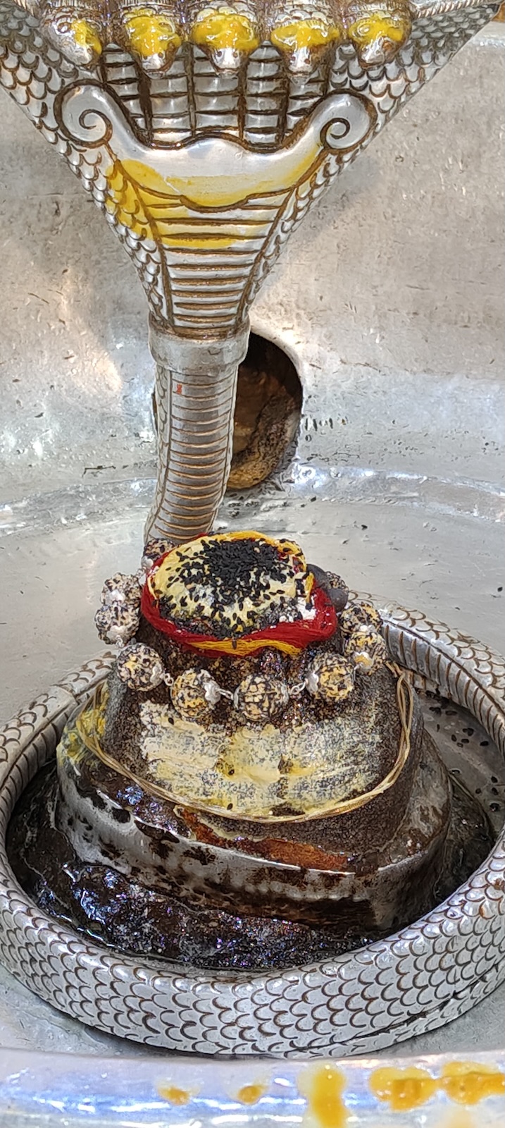 Rudrabhishek to Shree Kubereshwar Mahadev
