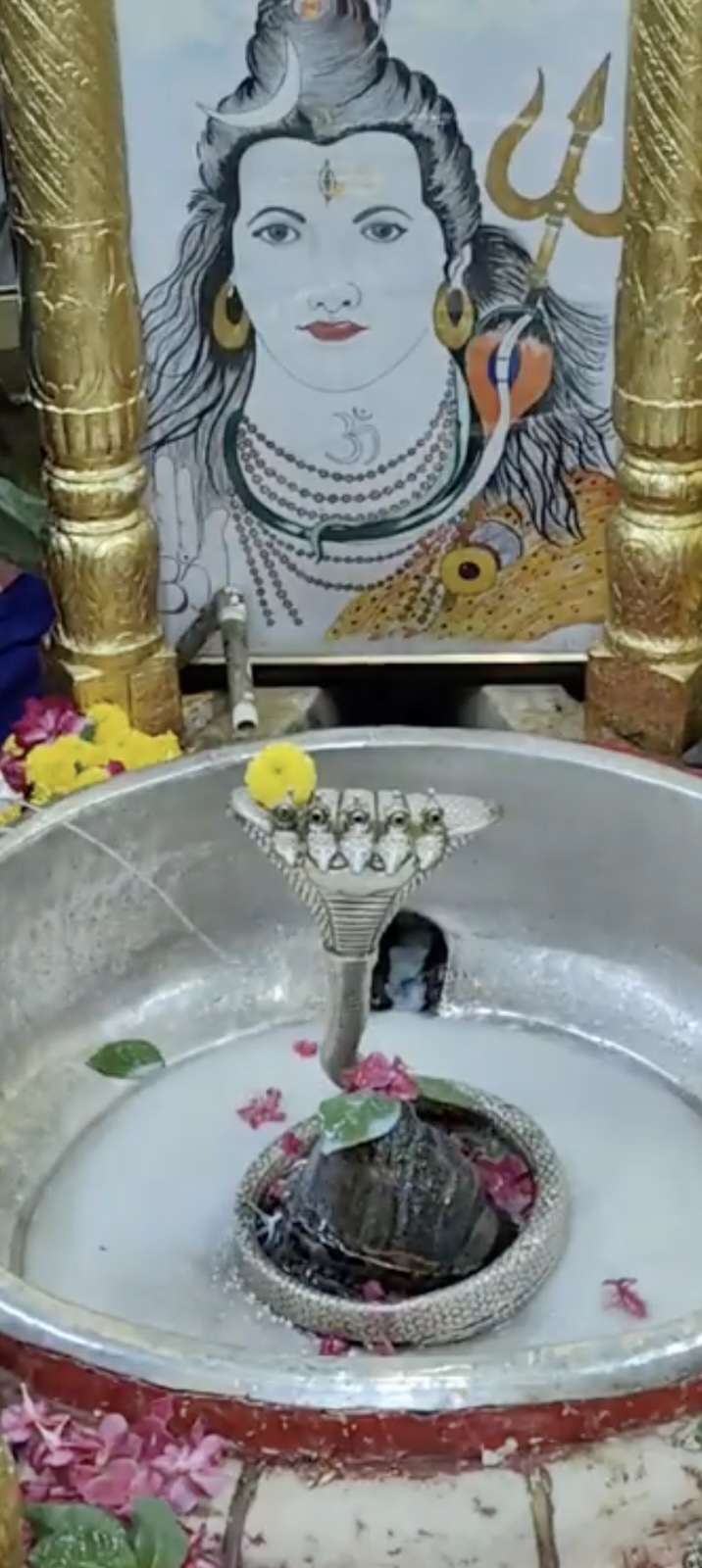 Rudrabhishek to Shree Kubereshwar Mahadev