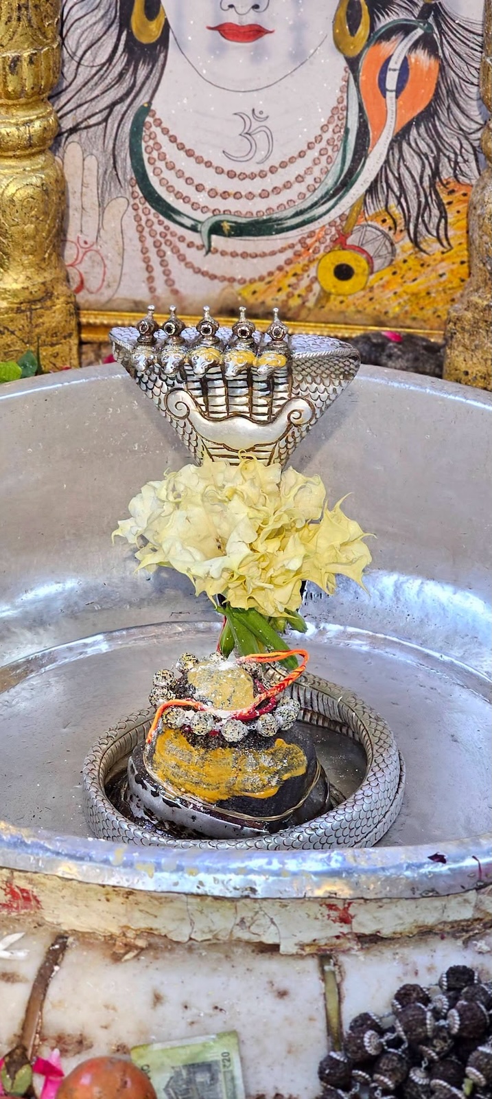 Rudrabhishek to Shree Kubereshwar Mahadev