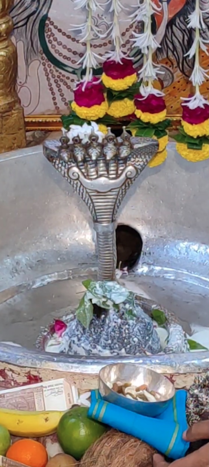 Rudrabhishek to Shree Kubereshwar Mahadev