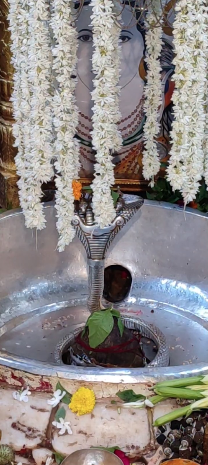 Rudrabhishek to Shree Kubereshwar Mahadev