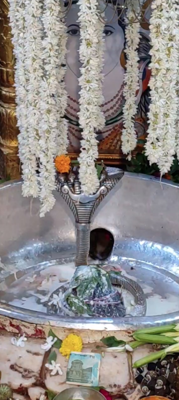 Rudrabhishek to Shree Kubereshwar Mahadev