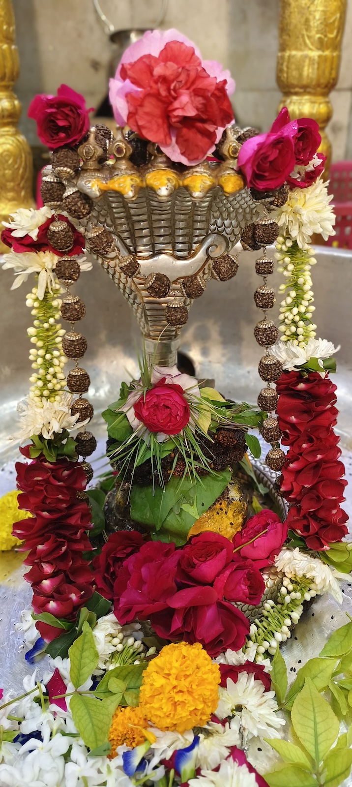 Rudrabhishek to Shree Kubereshwar Mahadev