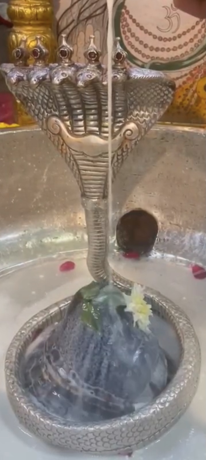 Rudrabhishek to Shree Kubereshwar Mahadev