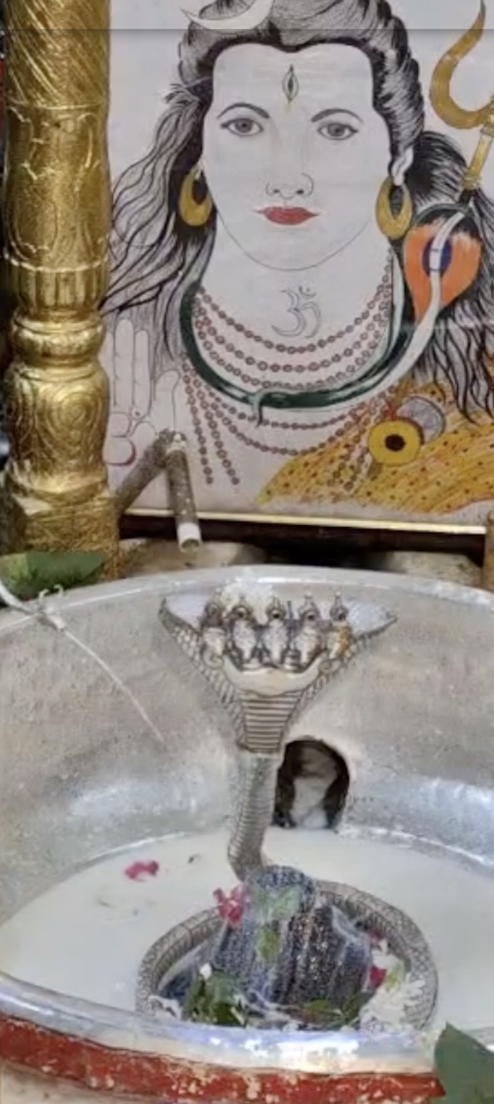 Rudrabhishek to Shree Kubereshwar Mahadev