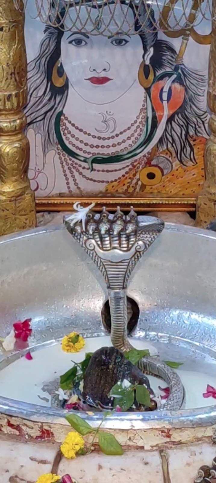 Rudrabhishek to Shree Kubereshwar Mahadev