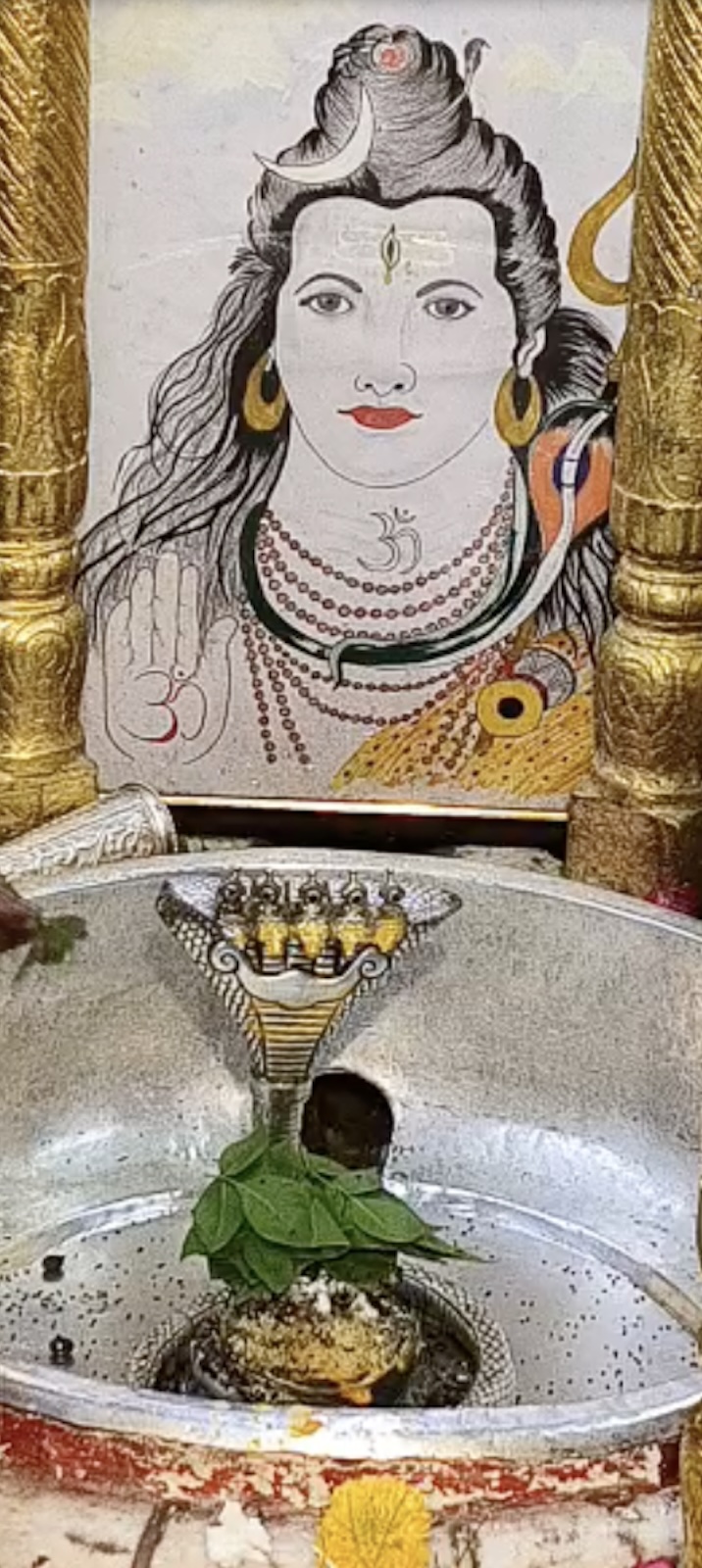 Rudrabhishek to Shree Kubereshwar Mahadev