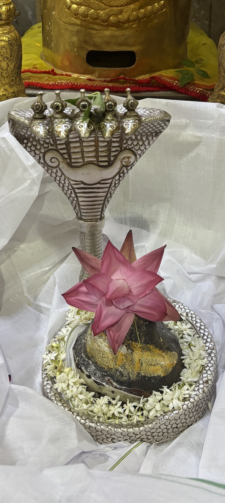 Rudrabhishek to Shree Kubereshwar Mahadev