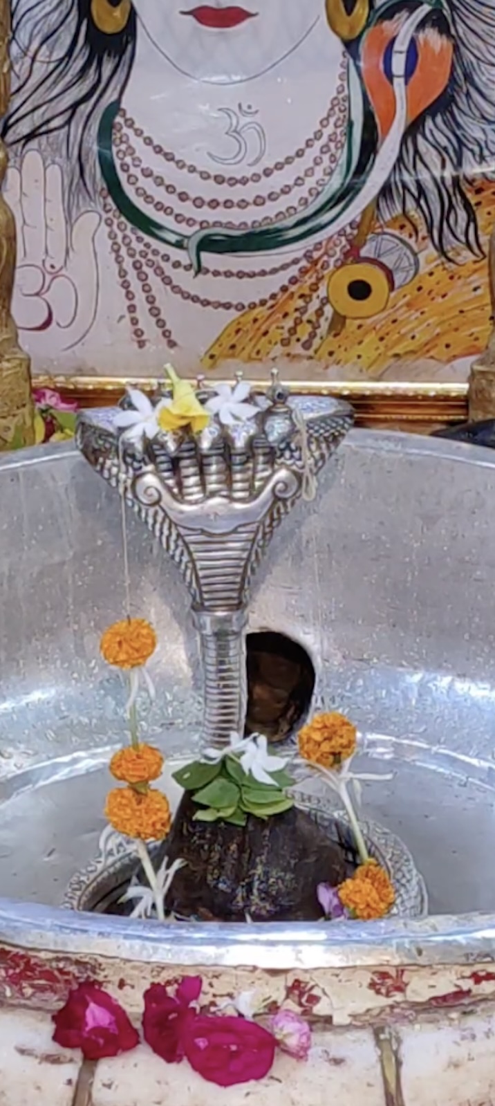 Rudrabhishek to Shree Kubereshwar Mahadev