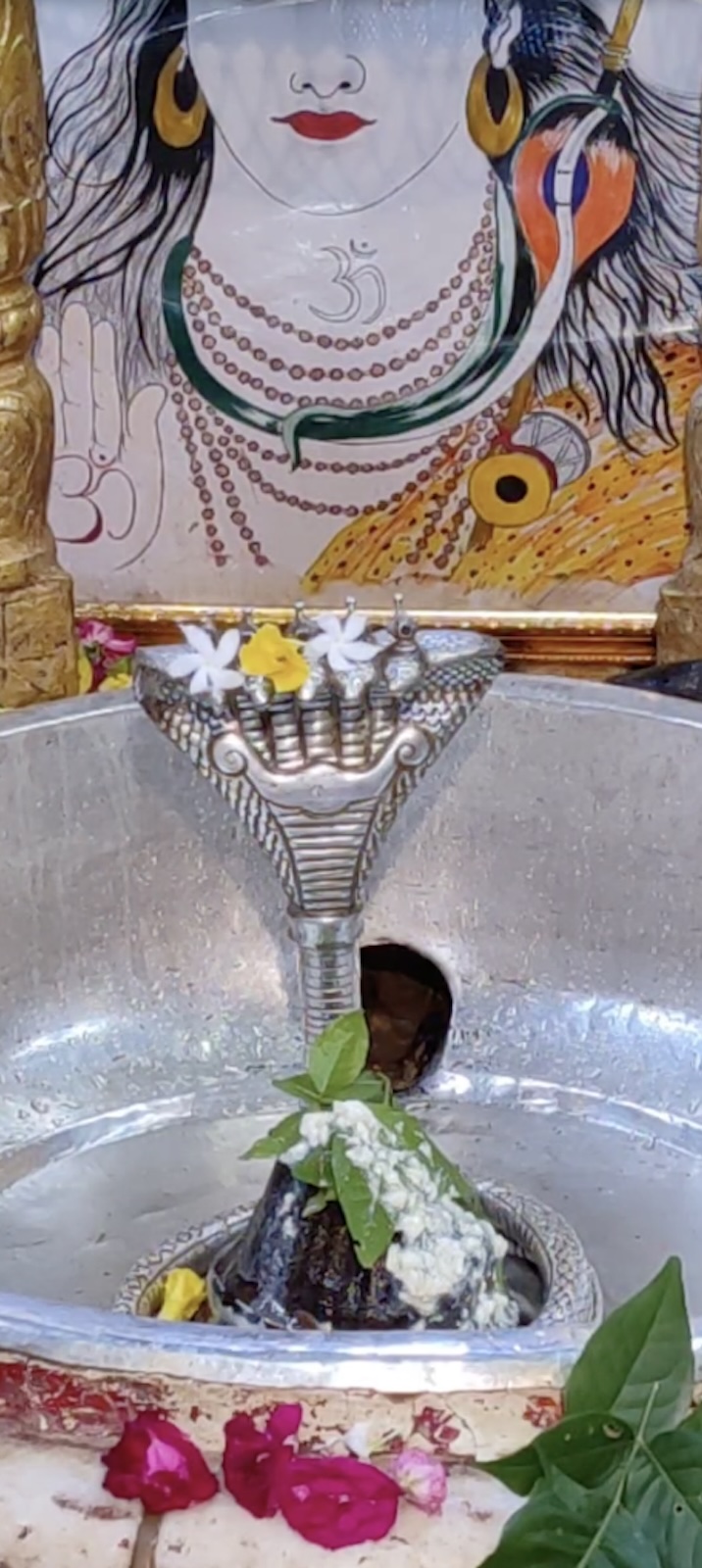 Rudrabhishek to Shree Kubereshwar Mahadev