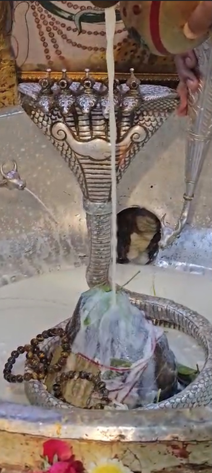 Rudrabhishek to Shree Kubereshwar Mahadev