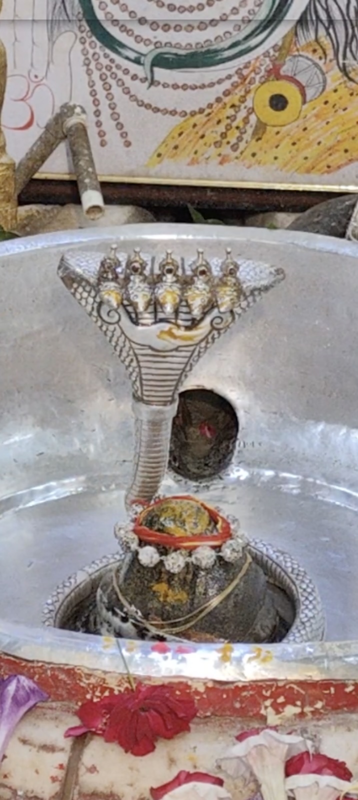 Rudrabhishek to Shree Kubereshwar Mahadev