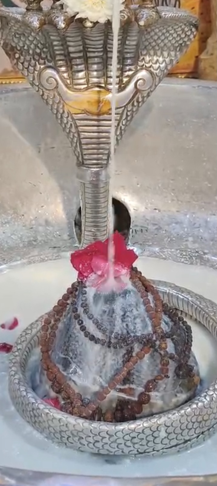 Rudrabhishek to Shree Kubereshwar Mahadev