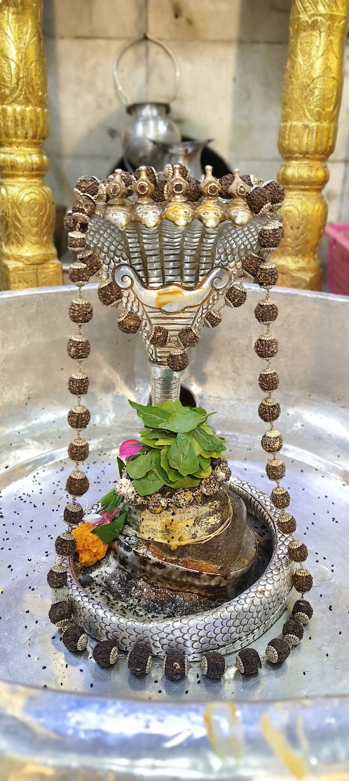 Rudrabhishek to Shree Kubereshwar Mahadev