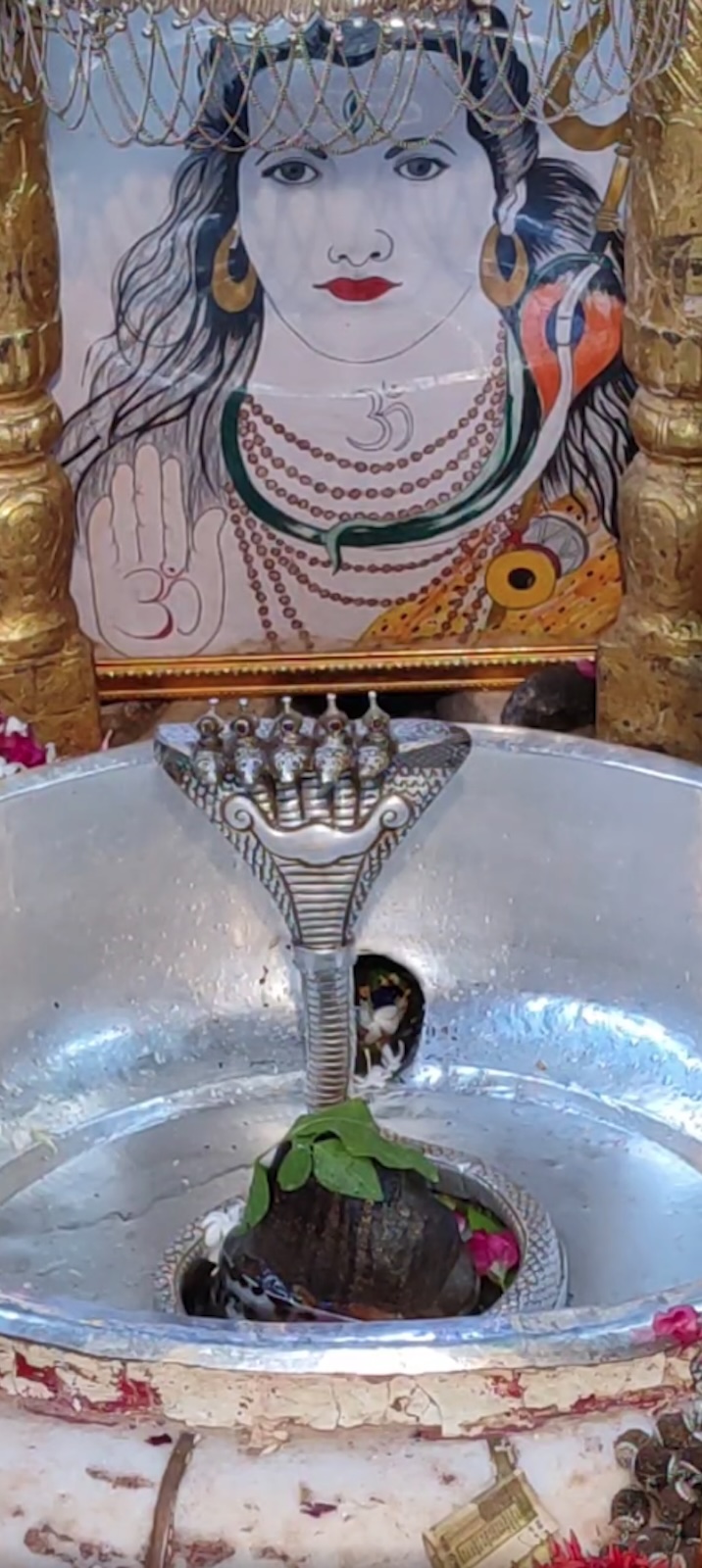 Rudrabhishek to Shree Kubereshwar Mahadev