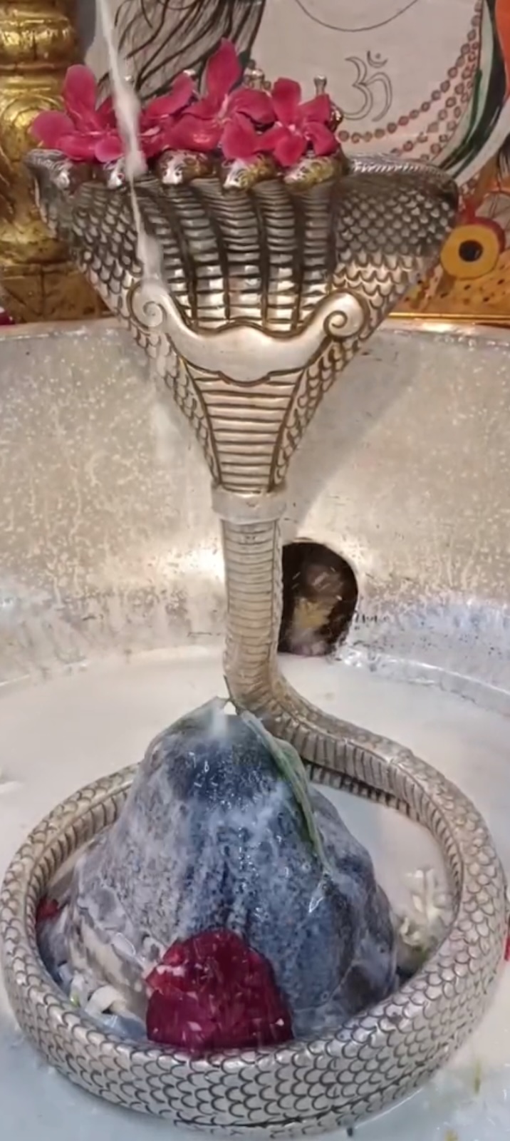 Rudrabhishek to Shree Kubereshwar Mahadev