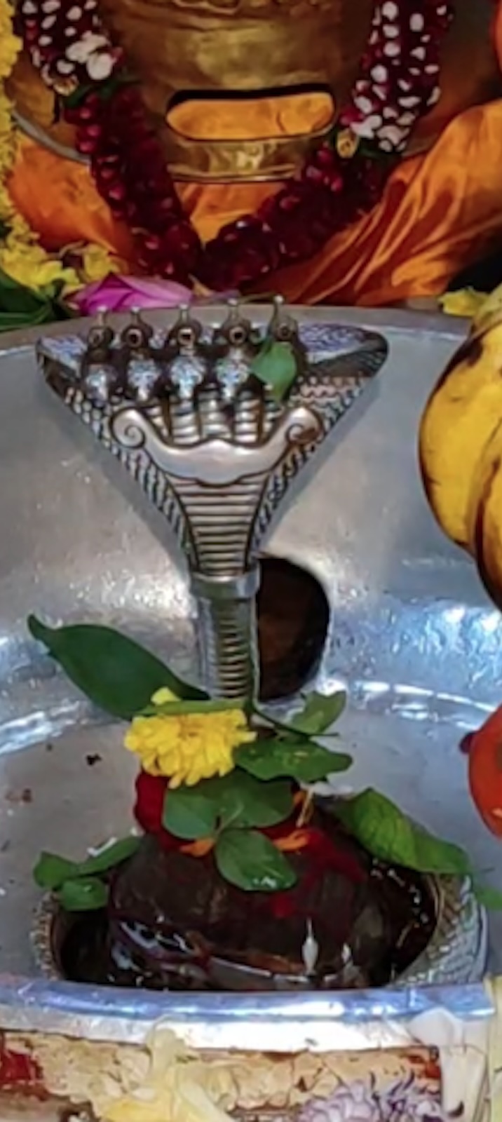 Rudrabhishek to Shree Kubereshwar Mahadev
