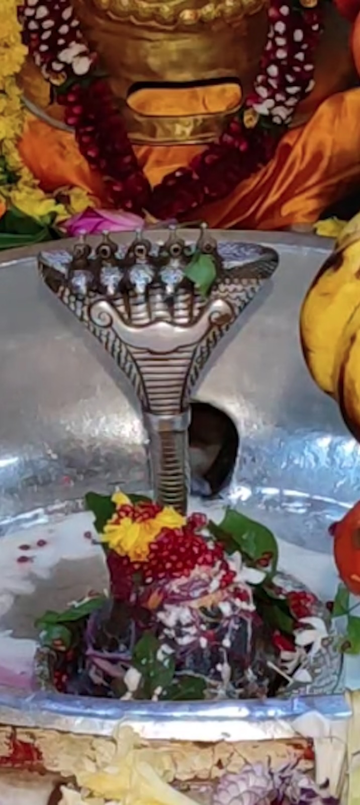 Rudrabhishek to Shree Kubereshwar Mahadev