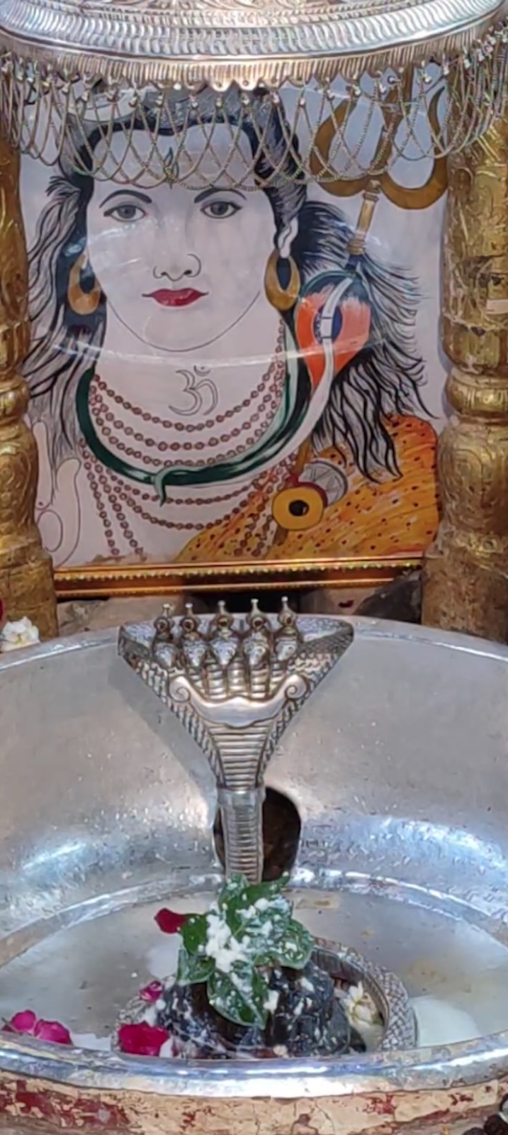 Rudrabhishek to Shree Kubereshwar Mahadev