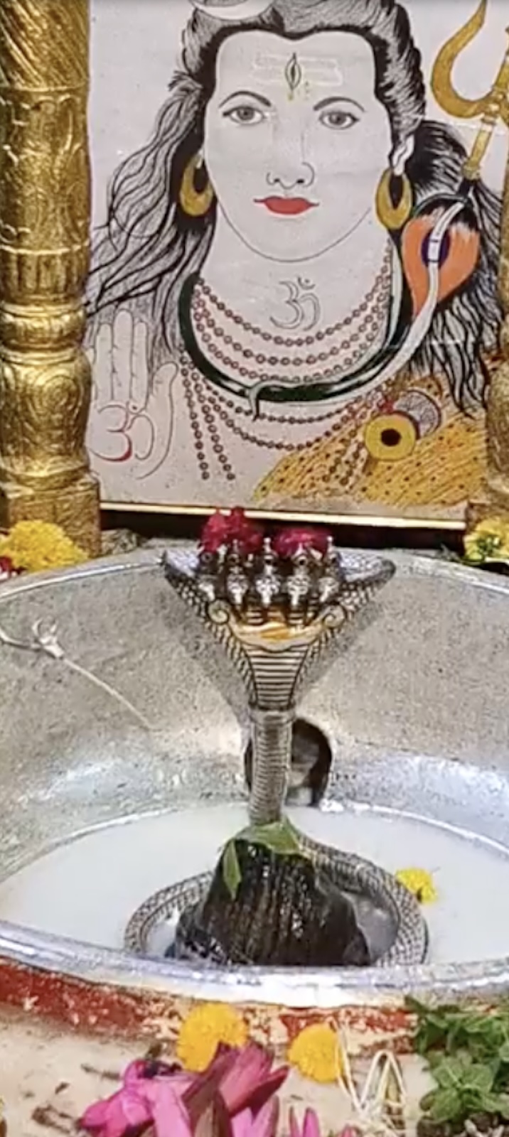 Rudrabhishek to Shree Kubereshwar Mahadev