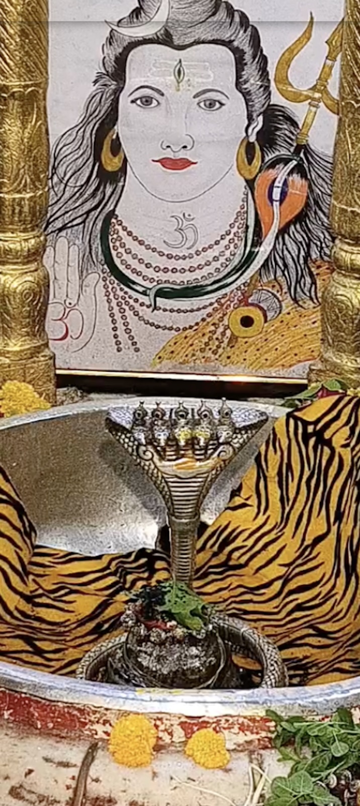 Rudrabhishek to Shree Kubereshwar Mahadev
