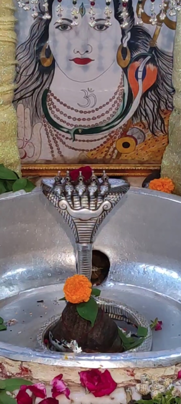Rudrabhishek to Shree Kubereshwar Mahadev