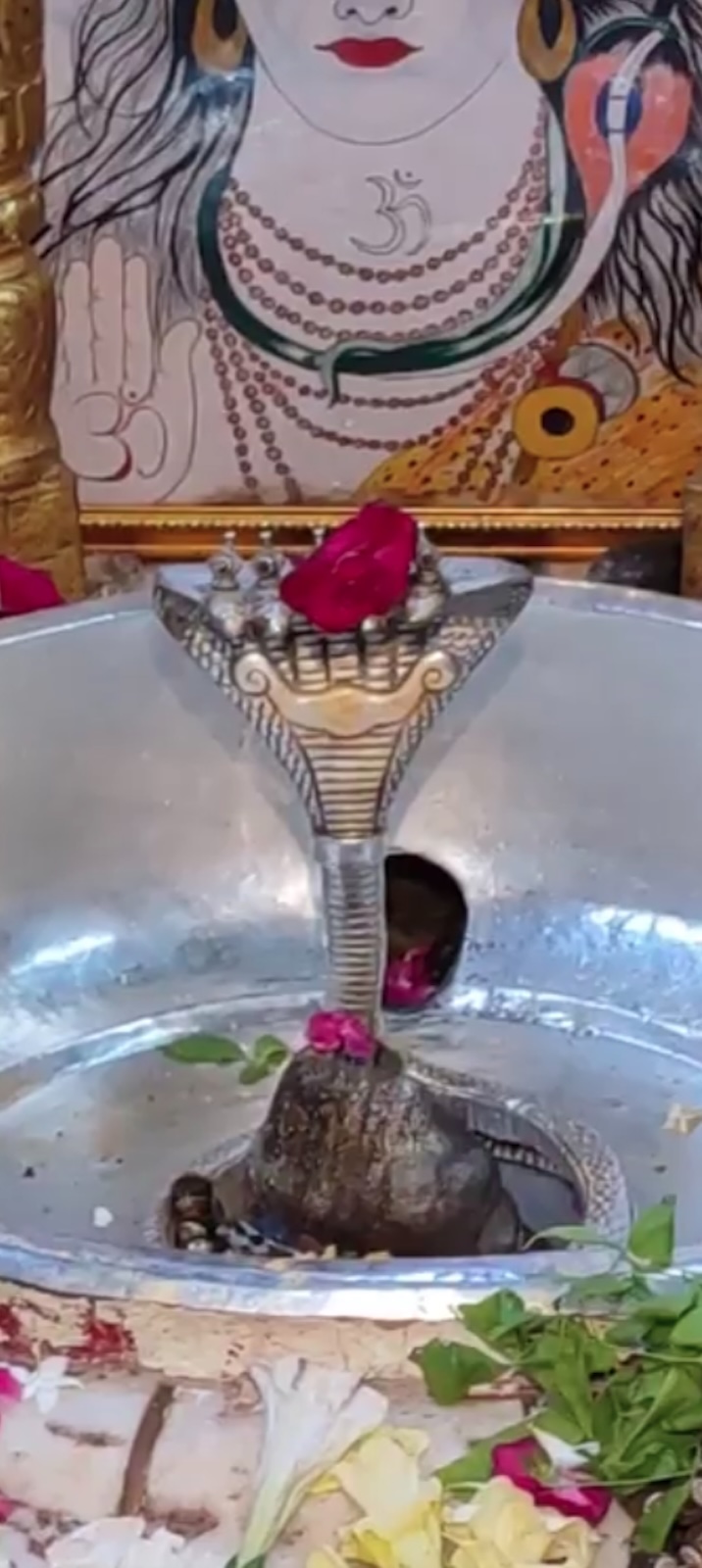 Rudrabhishek to Shree Kubereshwar Mahadev