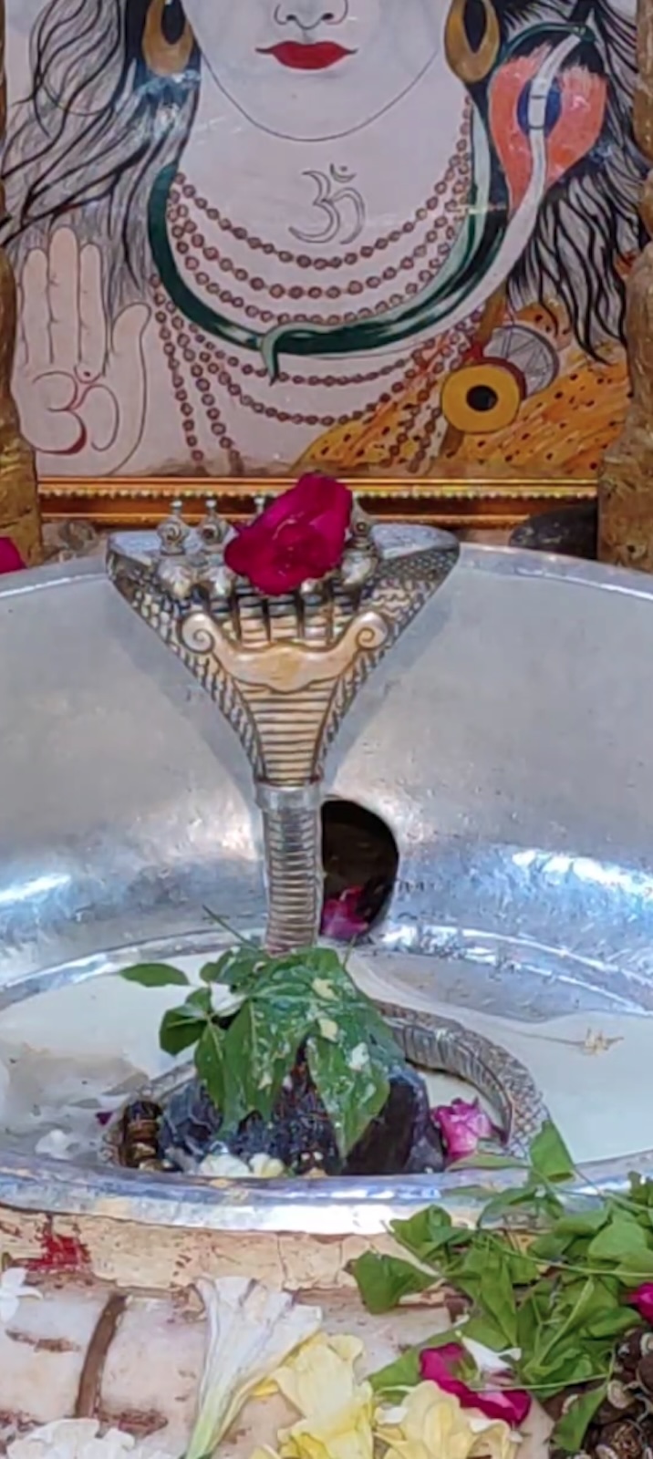 Rudrabhishek to Shree Kubereshwar Mahadev