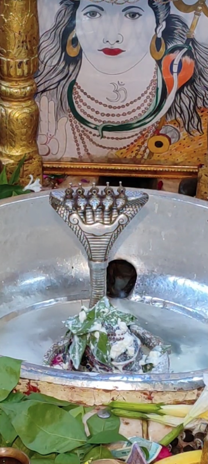 Rudrabhishek to Shree Kubereshwar Mahadev