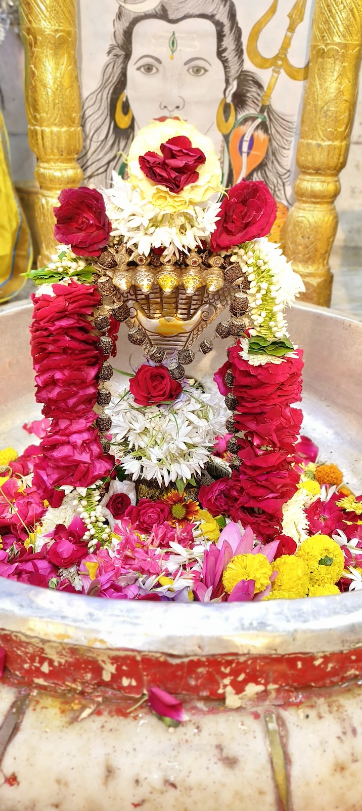 Rudrabhishek to Shree Kubereshwar Mahadev