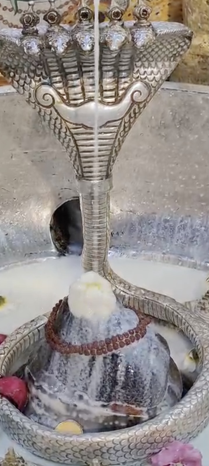 Rudrabhishek to Shree Kubereshwar Mahadev