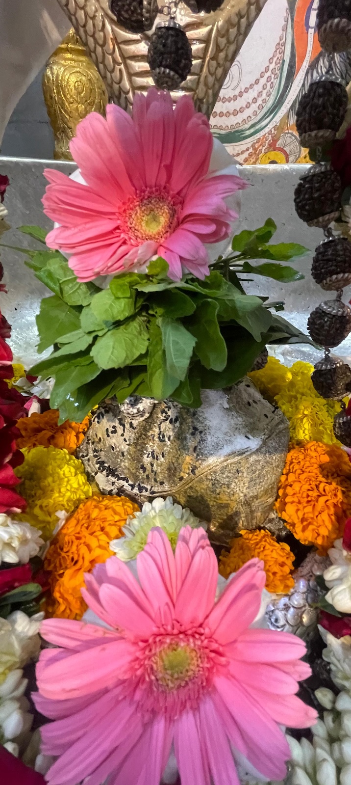 Rudrabhishek to Shree Kubereshwar Mahadev