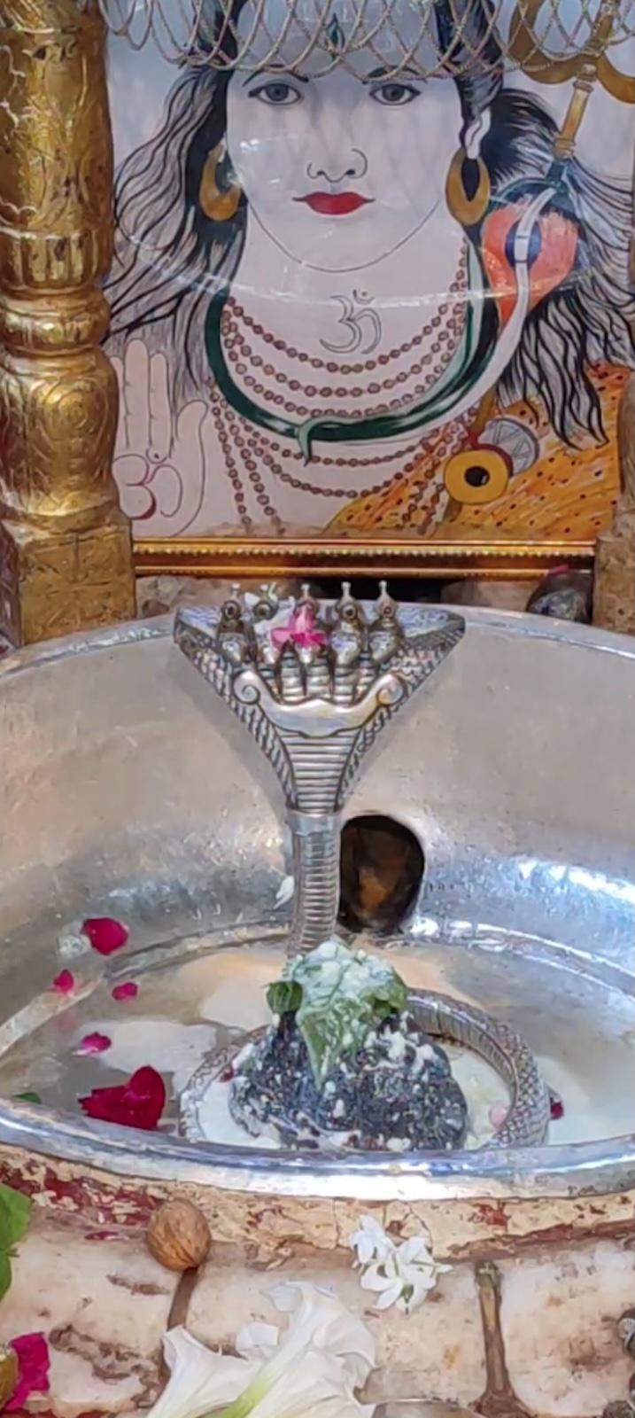 Rudrabhishek to Shree Kubereshwar Mahadev