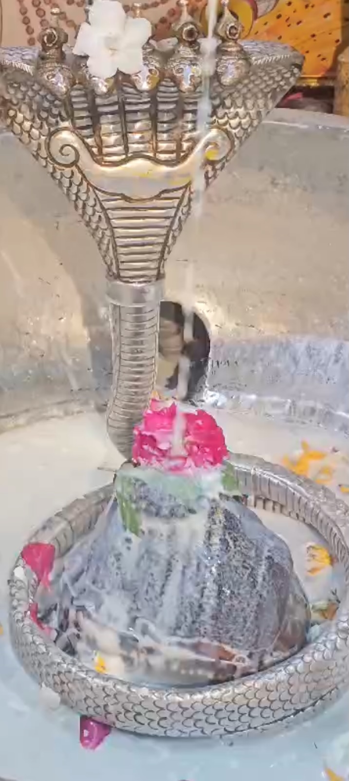 Rudrabhishek to Shree Kubereshwar Mahadev