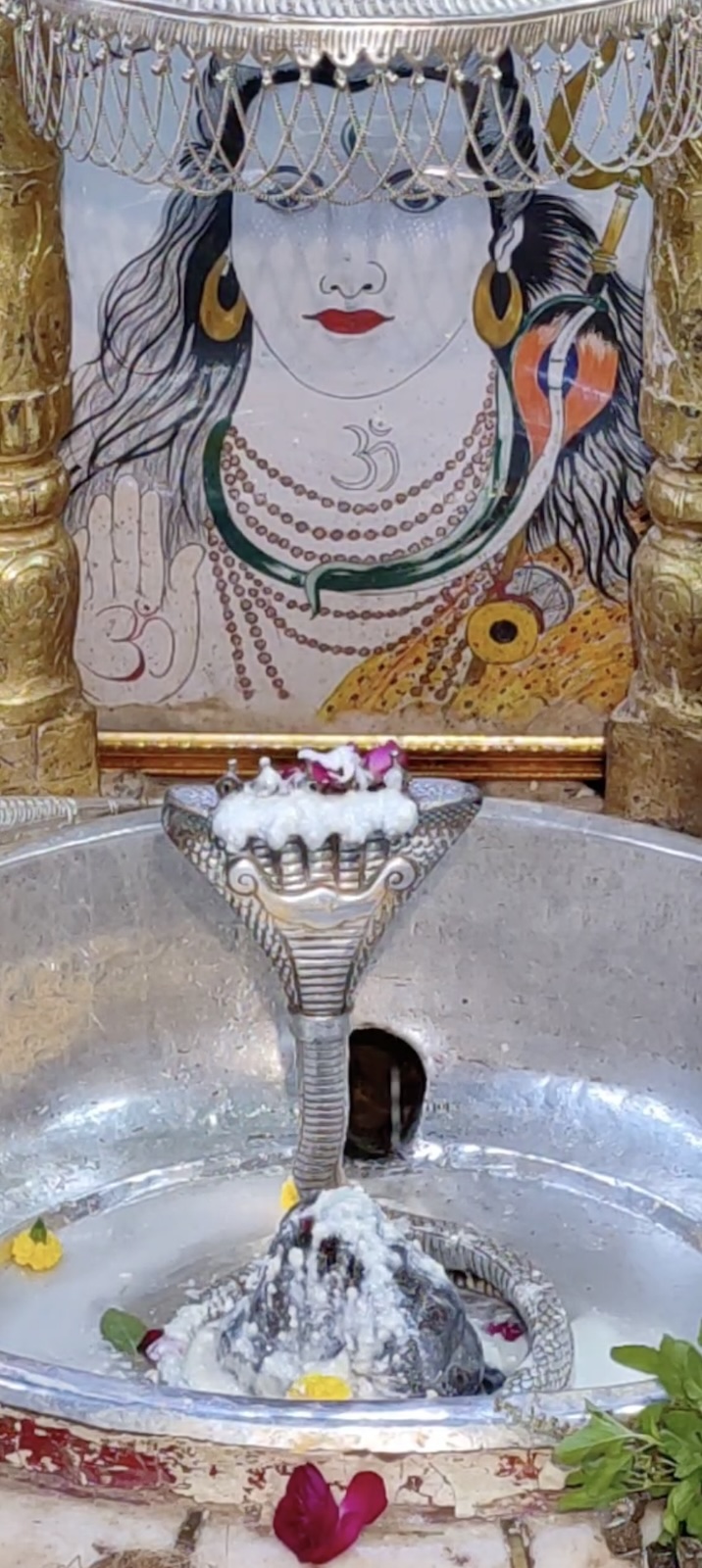 Rudrabhishek to Shree Kubereshwar Mahadev