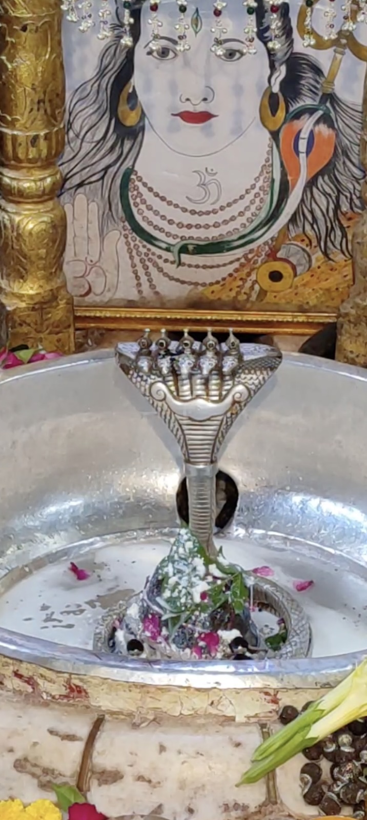 Rudrabhishek to Shree Kubereshwar Mahadev