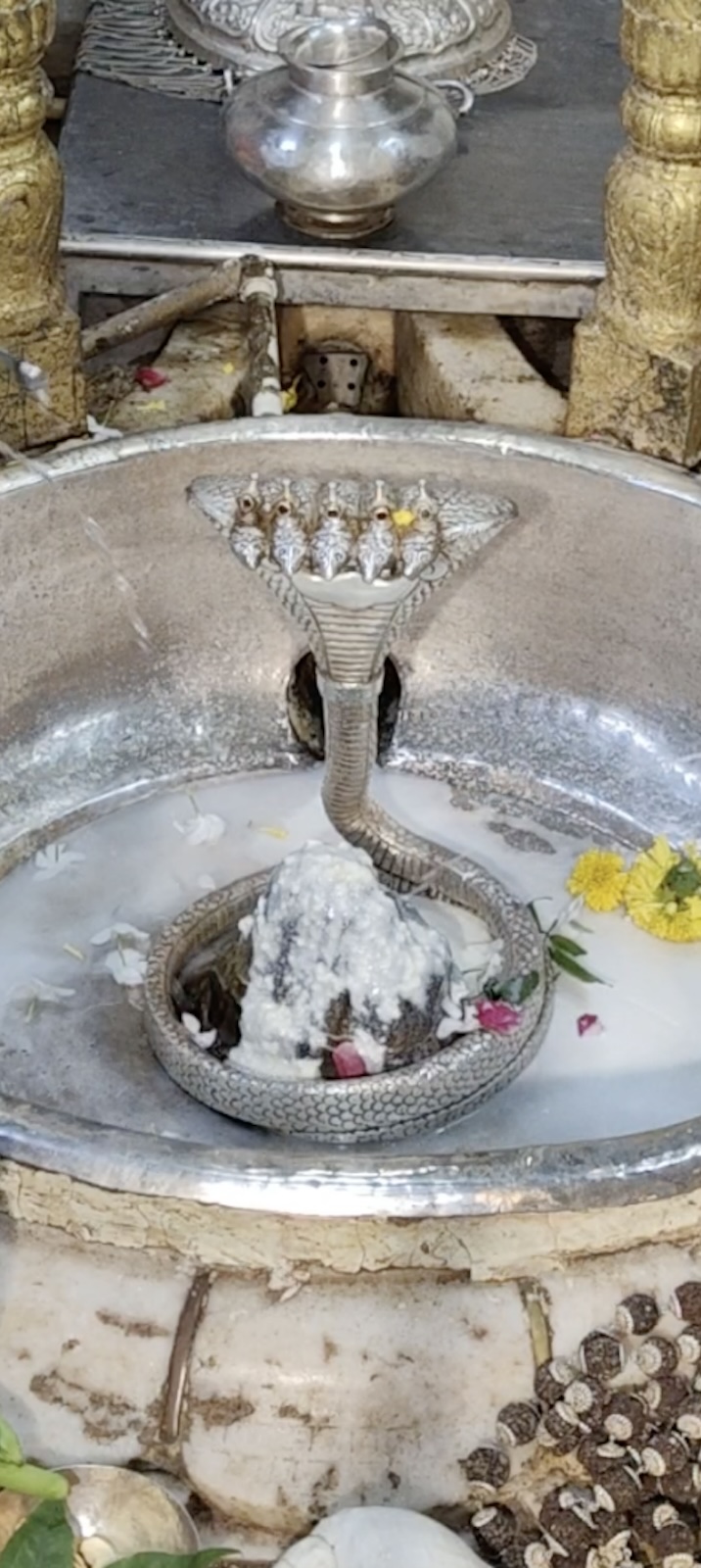 Rudrabhishek to Shree Kubereshwar Mahadev