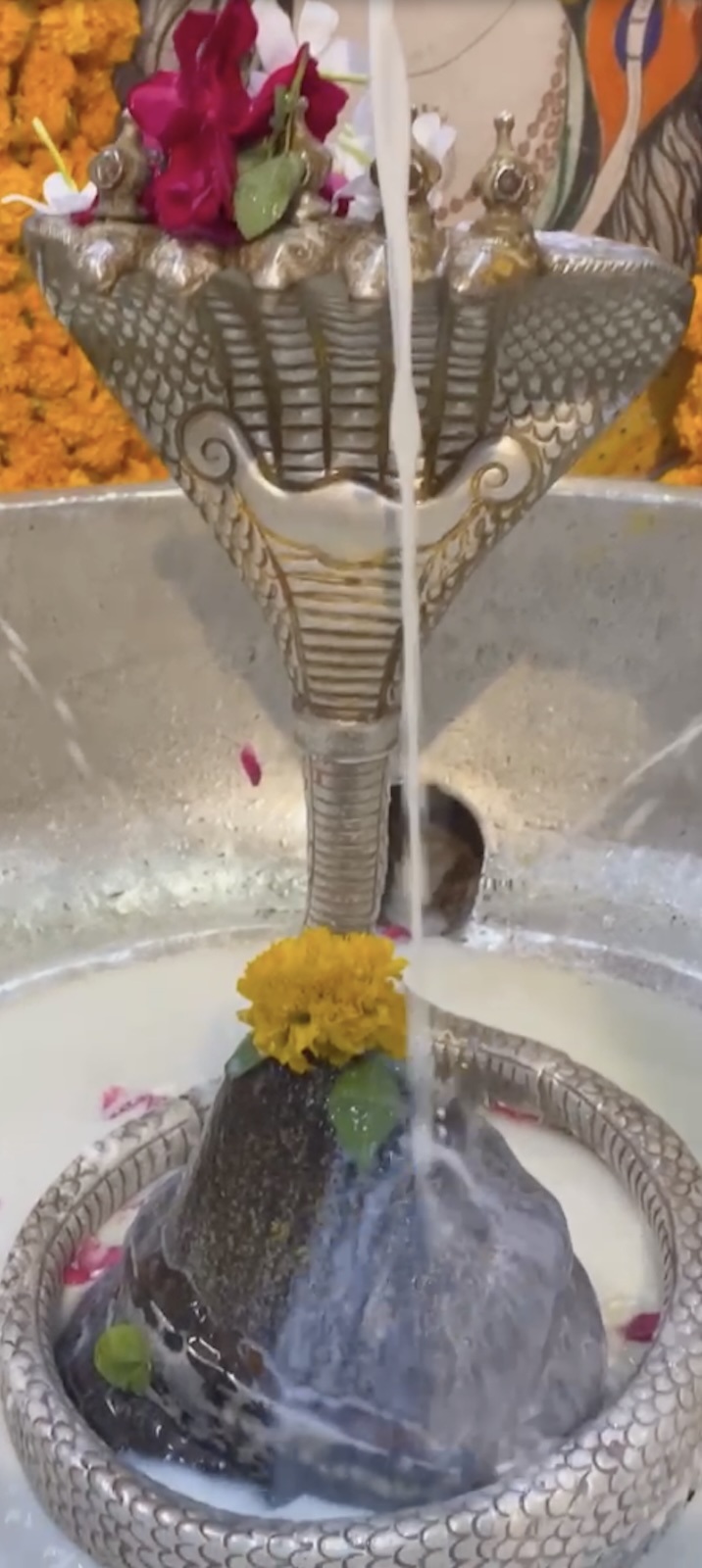 Rudrabhishek to Shree Kubereshwar Mahadev
