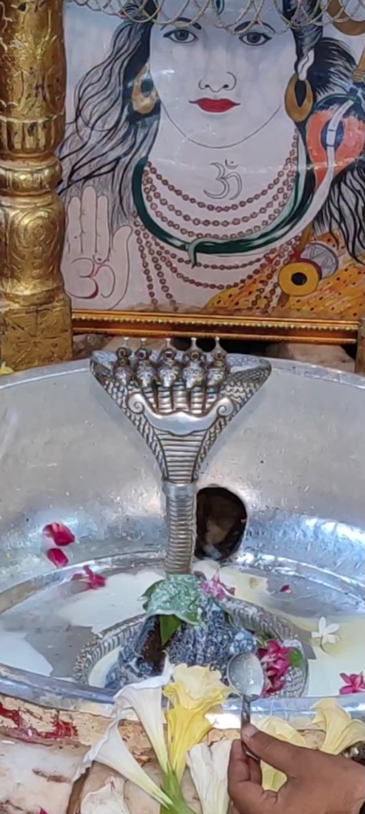 Rudrabhishek to Shree Kubereshwar Mahadev