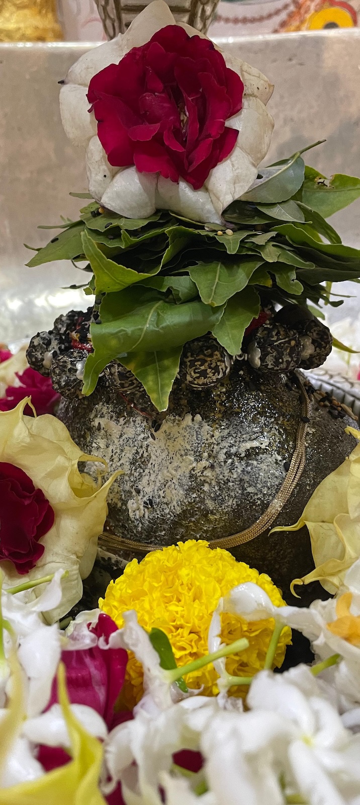 Rudrabhishek to Shree Kubereshwar Mahadev