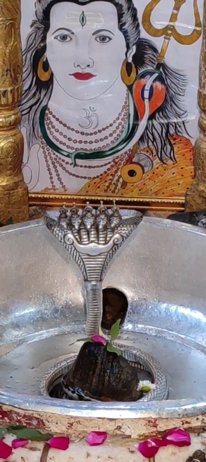 Rudrabhishek to Shree Kubereshwar Mahadev